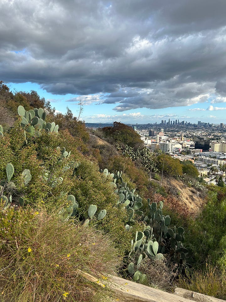 The view of DTLA from Runyon Canyon, including through a fence with multiple locks attached to it, as well as the view of the Hollywood Sign.