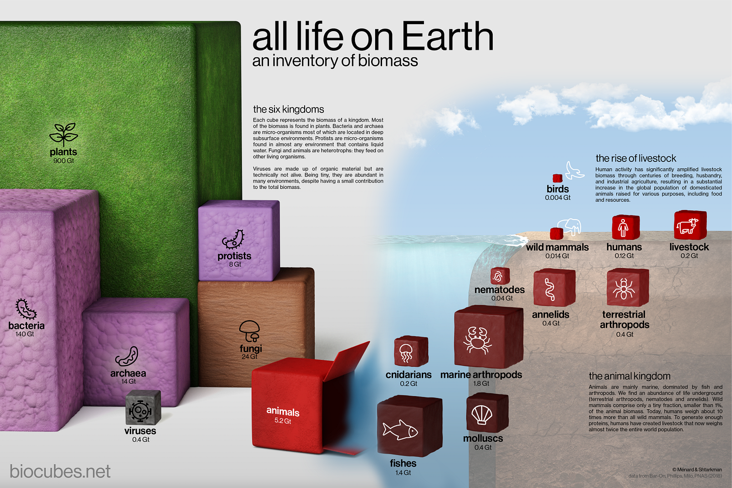 biocubes by Brice Ménard and Nikita Shtarkman biocubes by Brice Ménard and Nikita Shtarkman