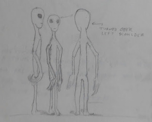 Universal Alien Objectas Stu’s Elongated-Head Tall Grey Photograph — and Similar Witness ...