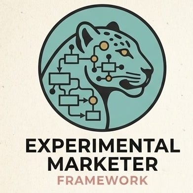 The Experimental Marketer