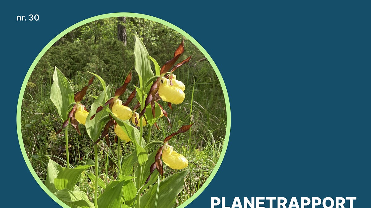 Planetrapport Juni 2026