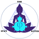 The Conscious Observer