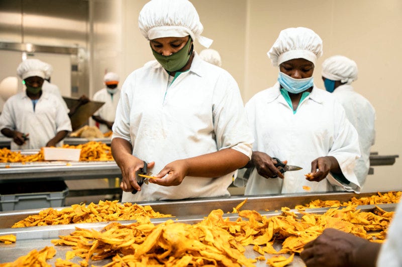 Mango processing at HPW's facility in Ghana. Mango processing at HPW's facility in Ghana.