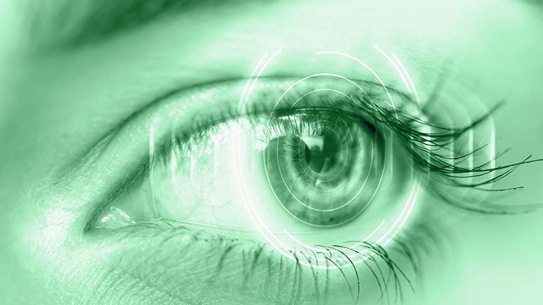 dmso reverses vision loss blindness