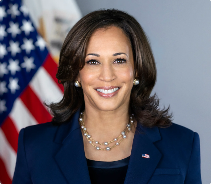 Kamala Harris: The Vice President