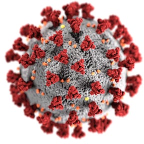 Coronavirus: Politics, the Press, and the End of Nature