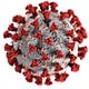 Coronavirus: Politics, the Press, and the End of Nature