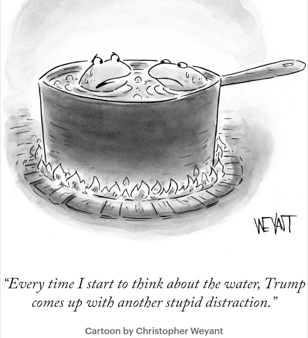 May be a black-and-white image of text that says 'WEAT "Every time I start to think about the water, Trump comes up with another stupid distraction." Cartoon by Christopher Weyant'