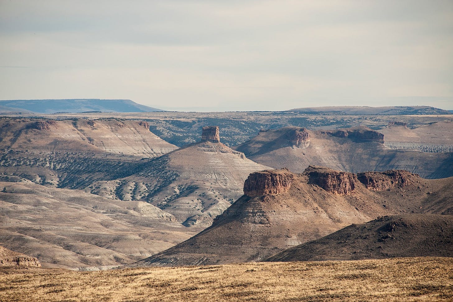 The Booby Hatcher: Uinta County, Wyoming