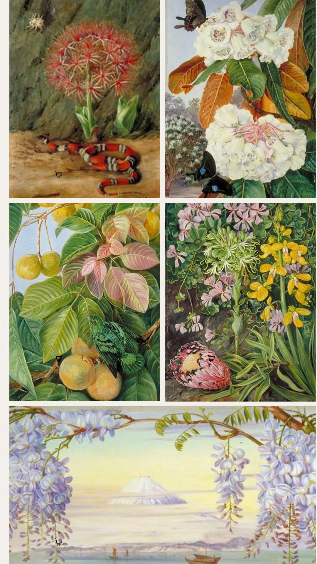Marianne North - by Lynn Byrne - Emerald City