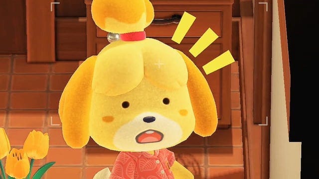 new fav thing: shocked isabelle : r/AnimalCrossing new fav thing: shocked isabelle : r/AnimalCrossing