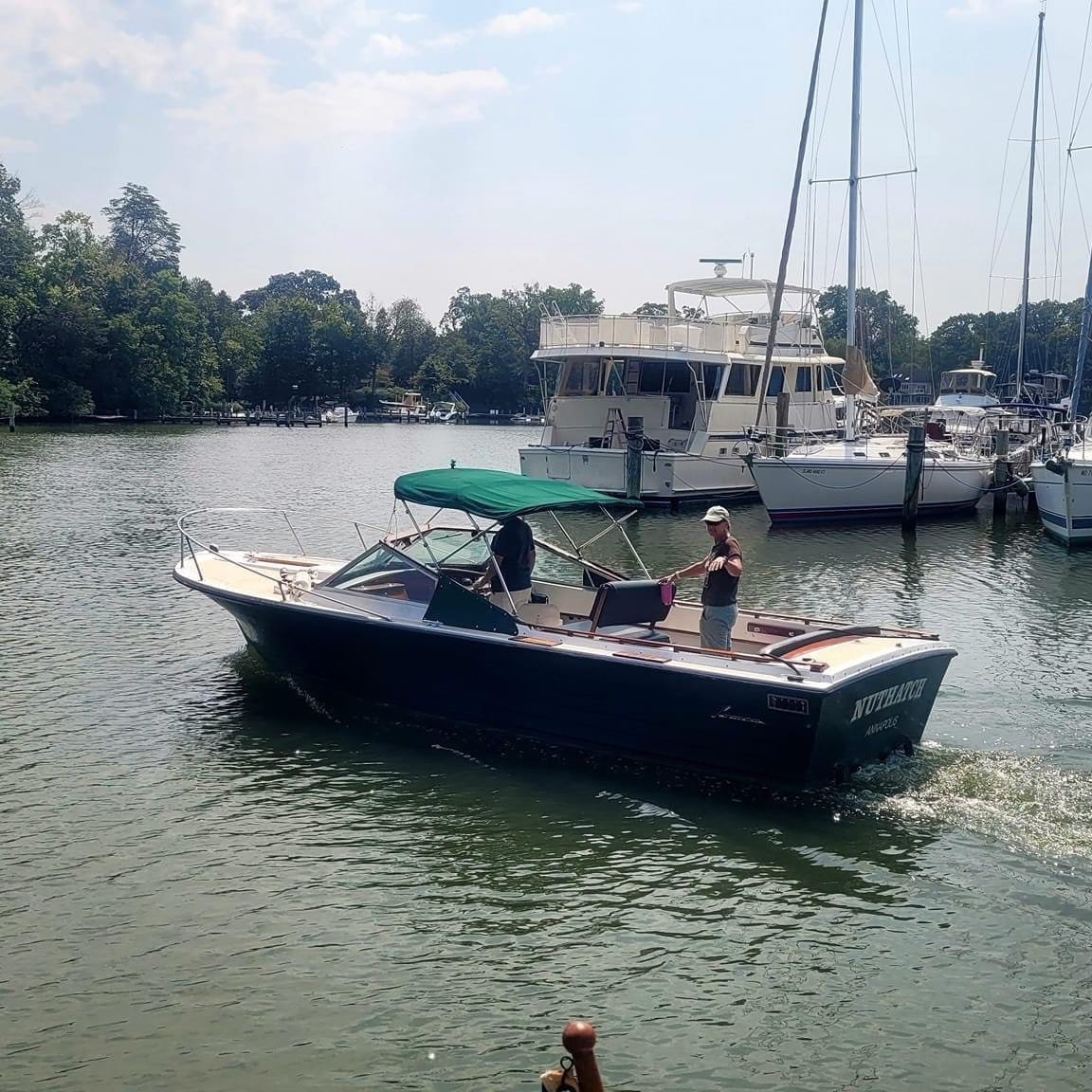 Artwork for Nora’s Substack