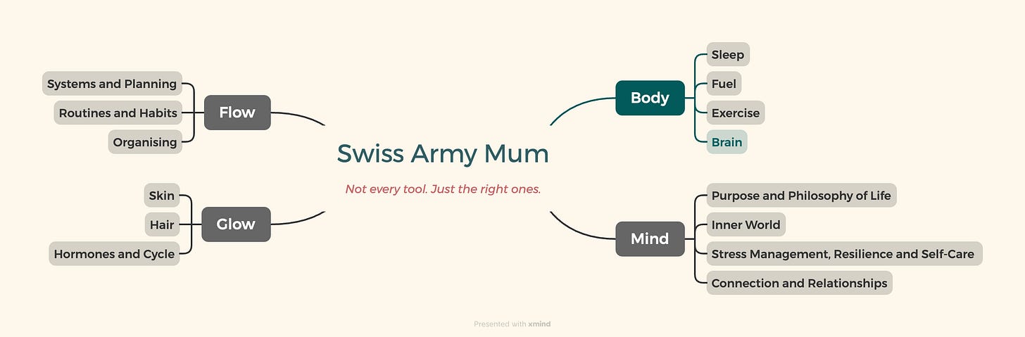 SAM mindmap with the Body Pillar’s Brain area highlighted