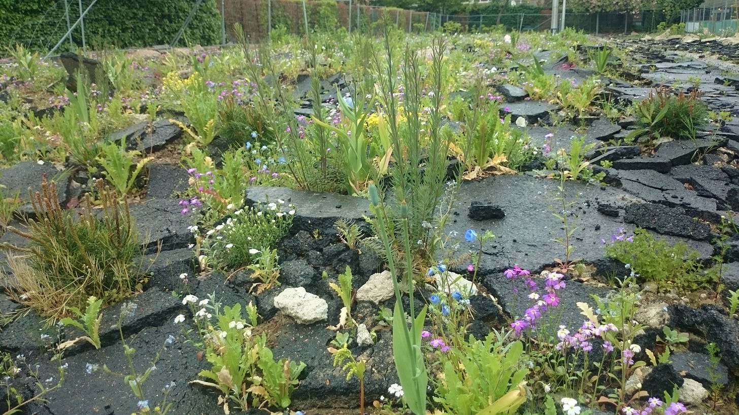 construction waste garden
