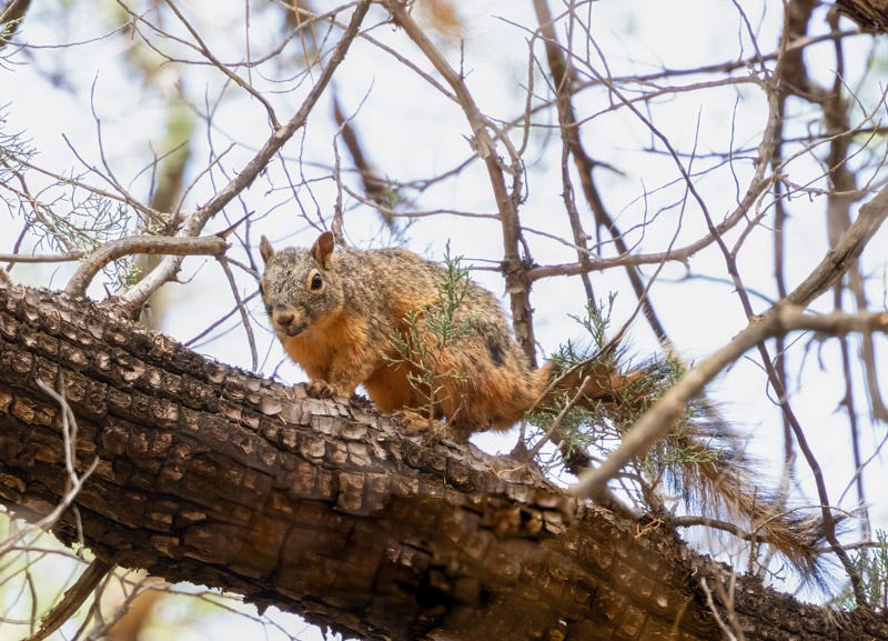 20240623-AZYBC-599-Edit.jpg 20240623-AZYBC-599-Edit.jpg