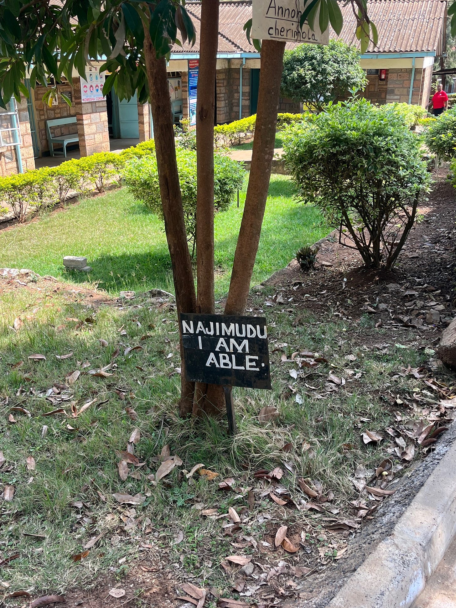 The sign reading 'I am able' in the grass in front of a tree The sign reading 'I am able' in the grass in front of a tree