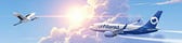 Take-Off: Aviation's Wounded Canaries