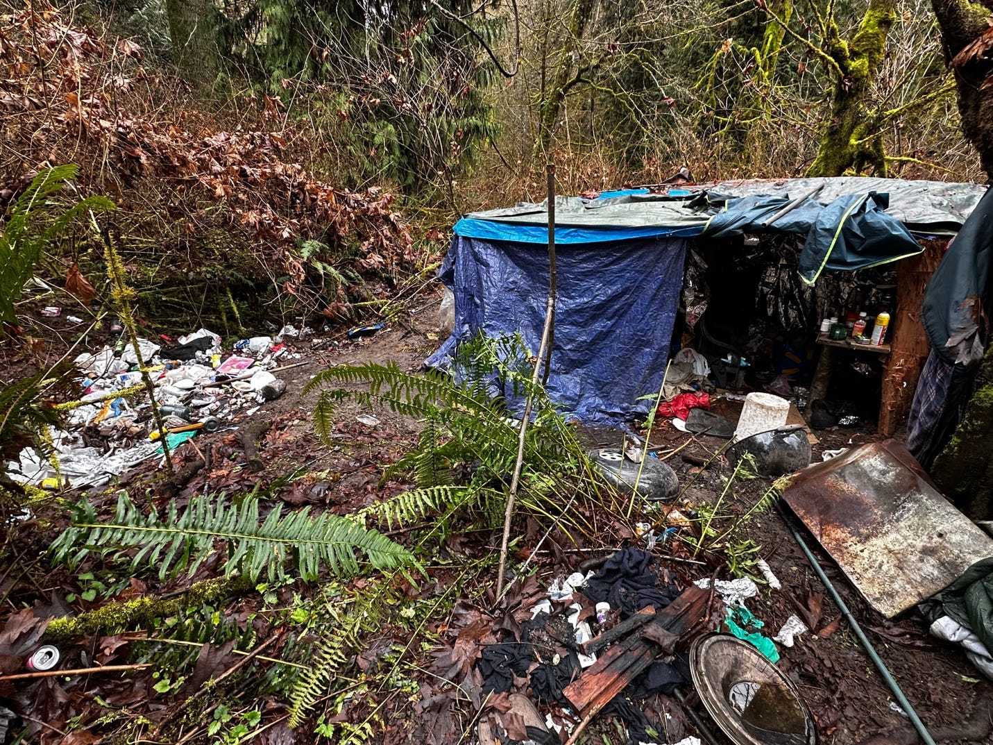 A homeless shelter in the woods

Description automatically generated