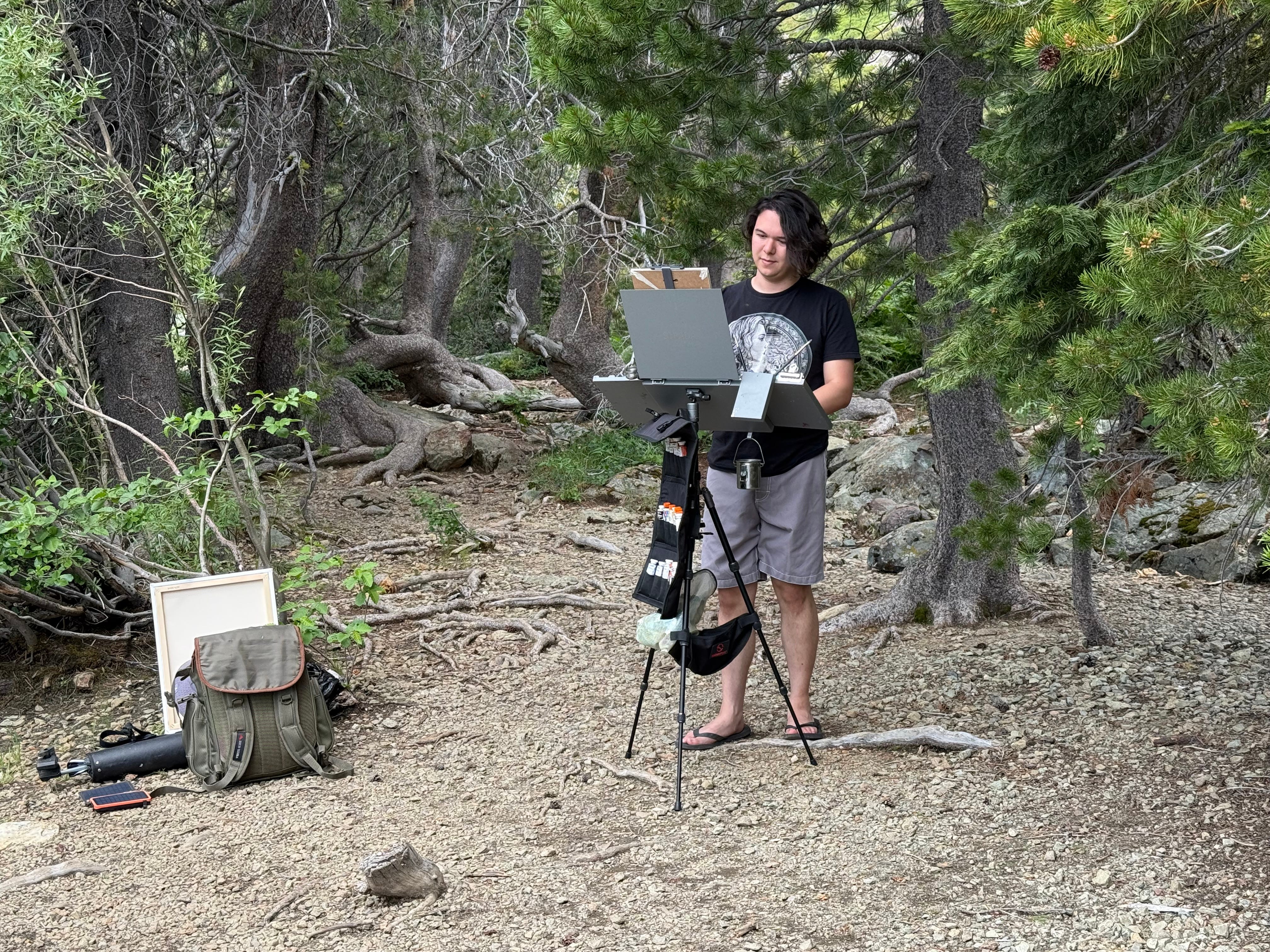 Assistant Teaching Plein Air Painting in the Sierra Nevada Mountains Summer 2026
