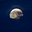 Moon Not Sun's avatar