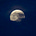 Moon Not Sun's avatar
