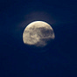 Moon Not Sun's avatar