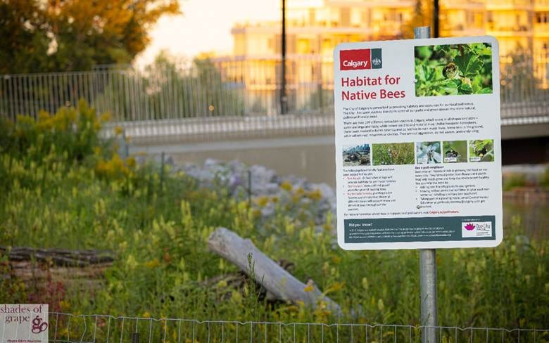 A sign in a grassy area