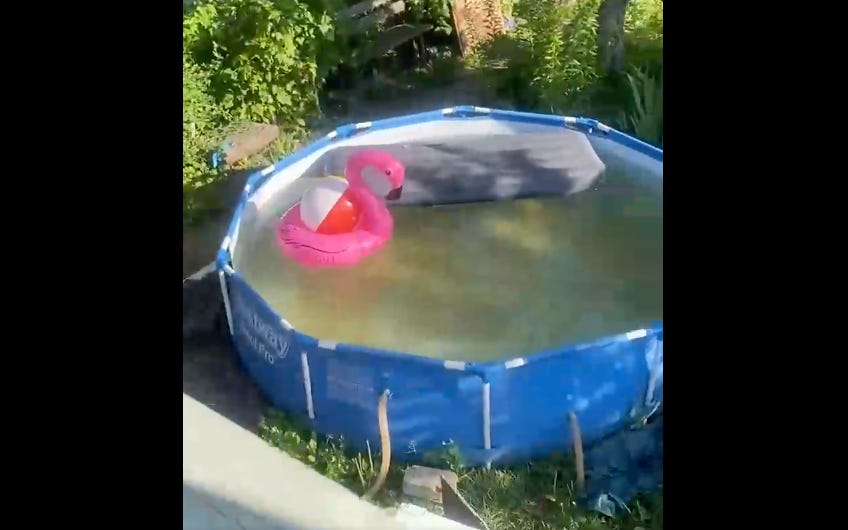 Inflateble_Flamingo_01.png