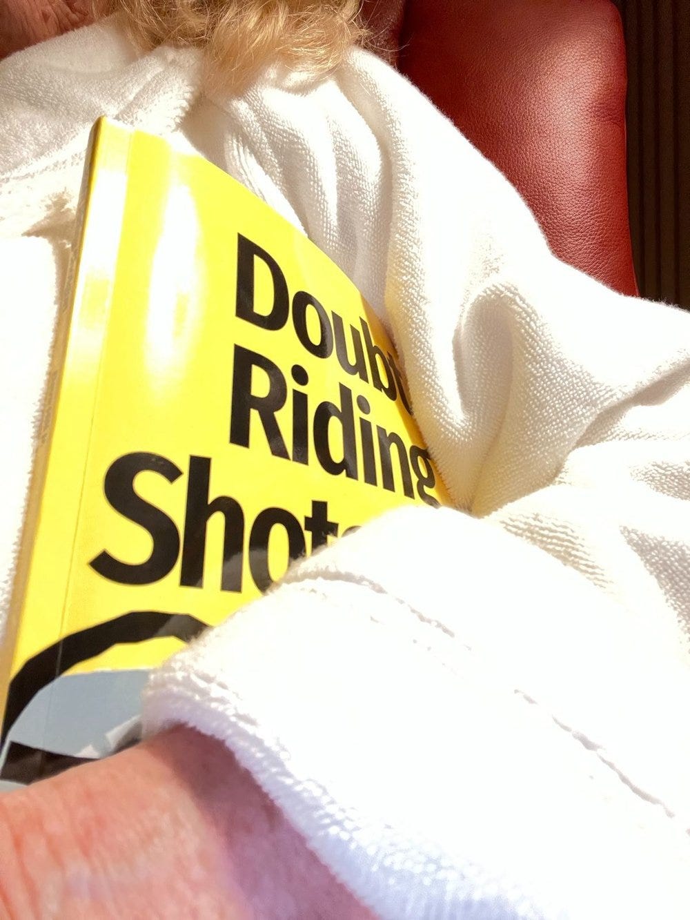 Off-to-bed-with_my-Doubt-Riding-Shotgun-book.jpg Off-to-bed-with_my-Doubt-Riding-Shotgun-book.jpg