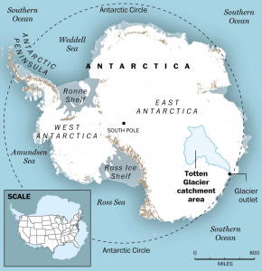Antarctica Antarctica