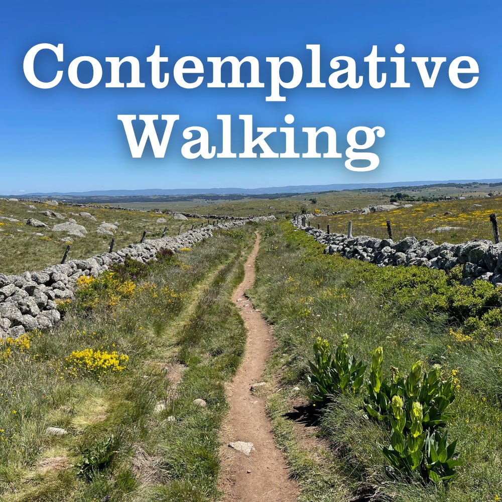 Contemplative Walking