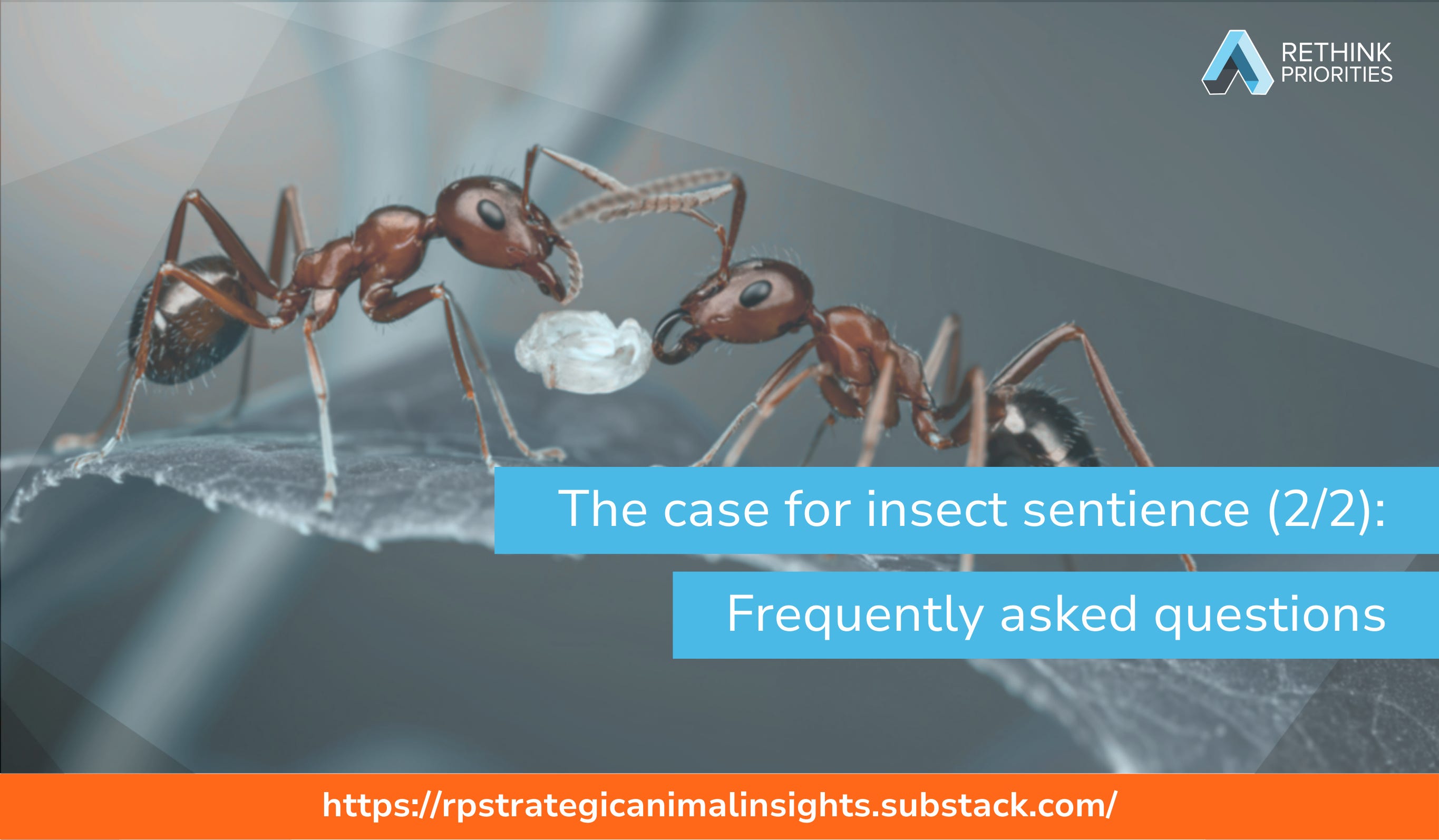 The case for insect sentience (2/2): Frequently asked questions, answered