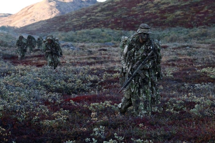 Danish conscripts in camouflage walk through brush during a military exercise in Greenland. Danish conscripts in camouflage walk through brush during a military exercise in Greenland.