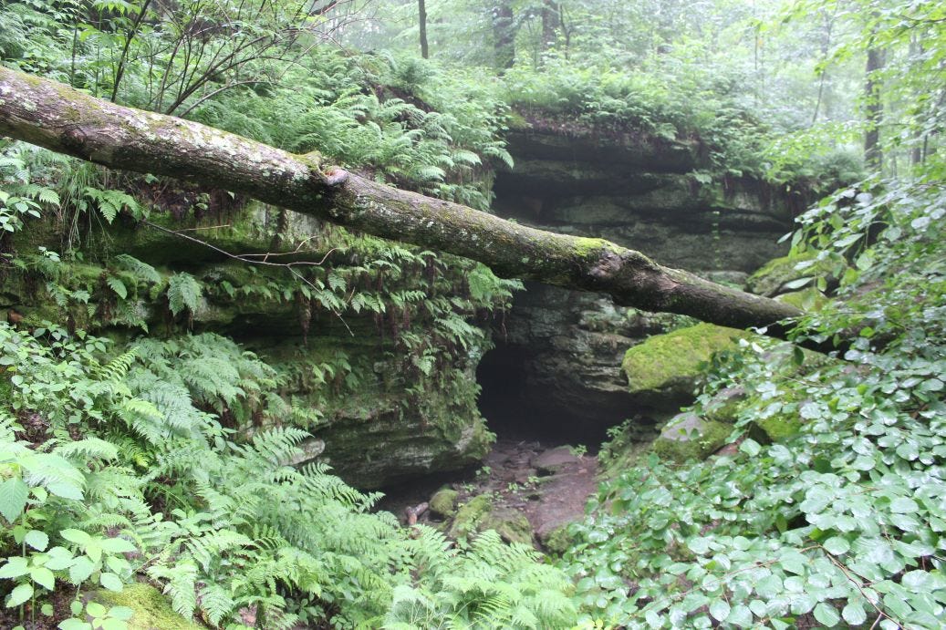 Butternut cave at Malabar Farm