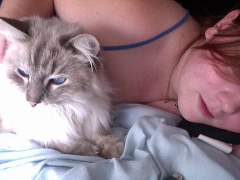 Various photos of Sam & Zee together. He was a gorgeous and fluffy, all white Ragdoll cat with big paws and big blue eyes. Sam is 20 years old and has red hair.