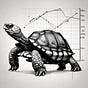 The Compounding Tortoise's avatar