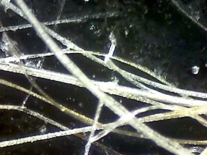 3a3ae250116562f2360c633f92afd7ff
