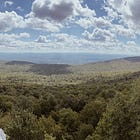 When All Else Fails, Go For a Walk