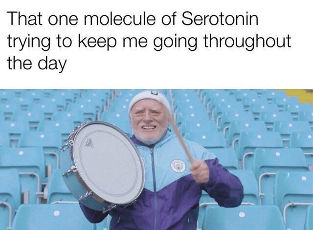 yay serotonin! : r/wholesomememes