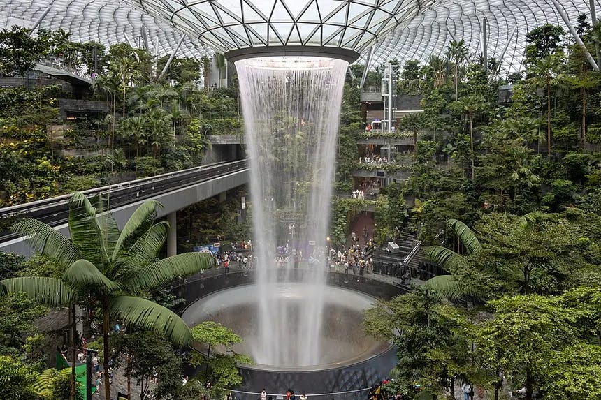 Issue 003 - What is Biophilic Design?