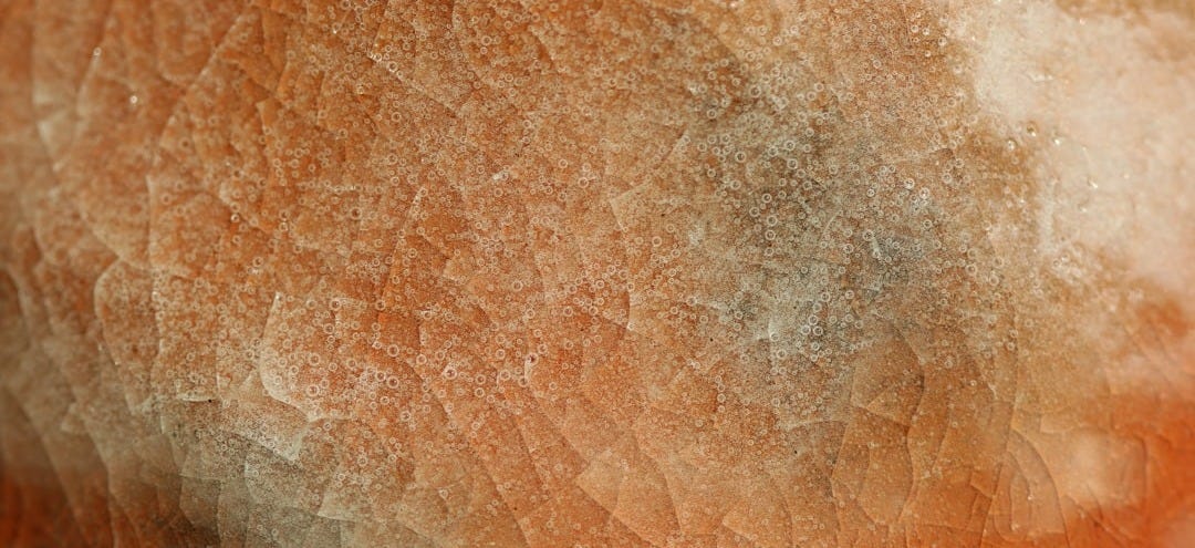 human skin human skin