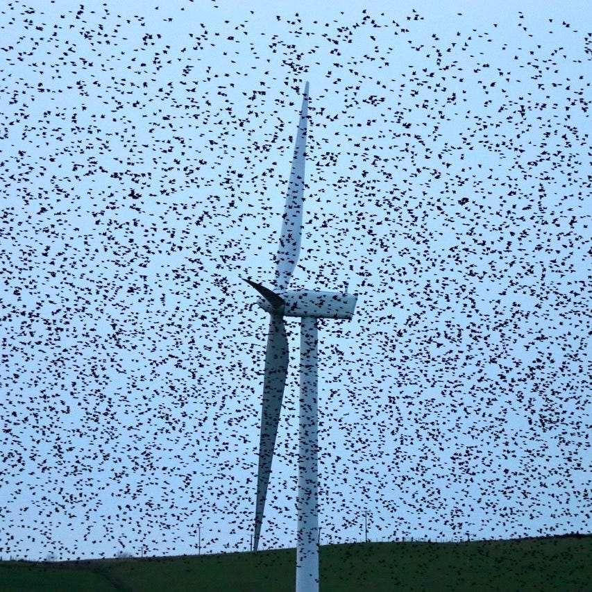 Tango with Renewables