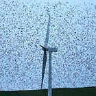 "Scramble, scramble. Scramble." by Irina Slav