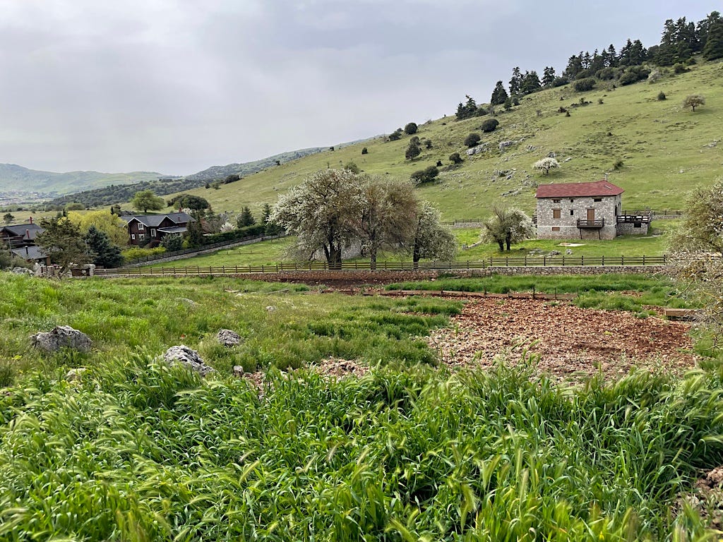 The cave is somewhere around here, about four hours from Delphi on foot.