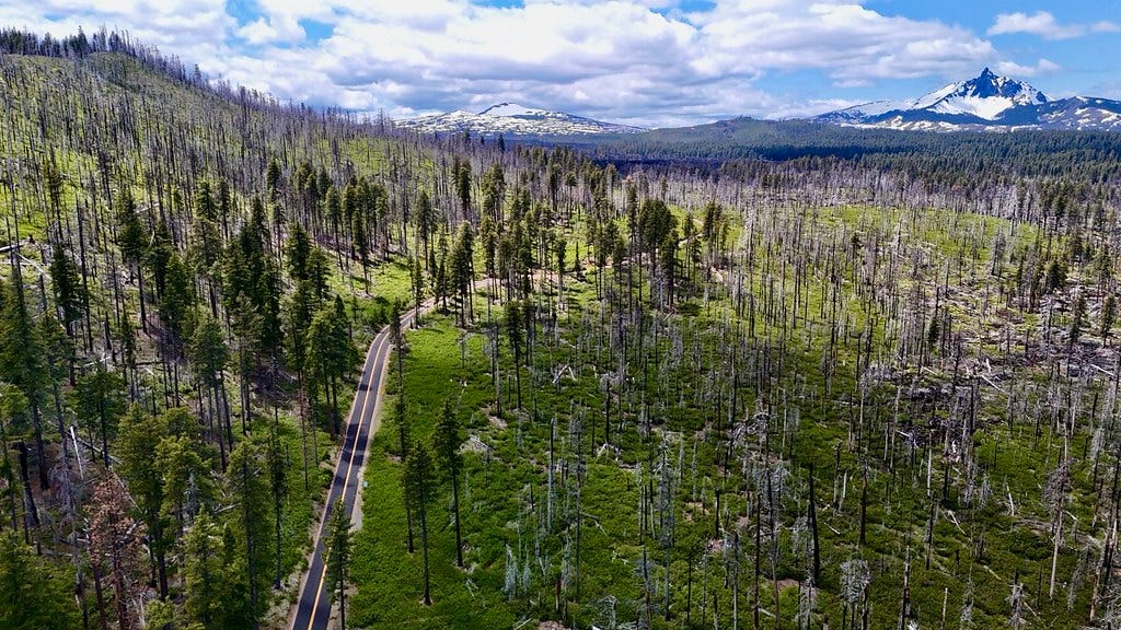 June 2025 Roundup 🍦