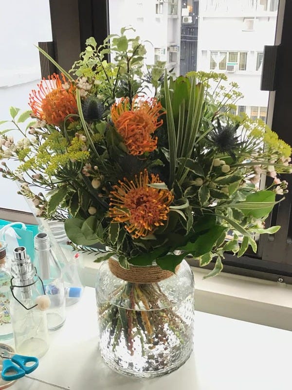 It brightens up the house, really.