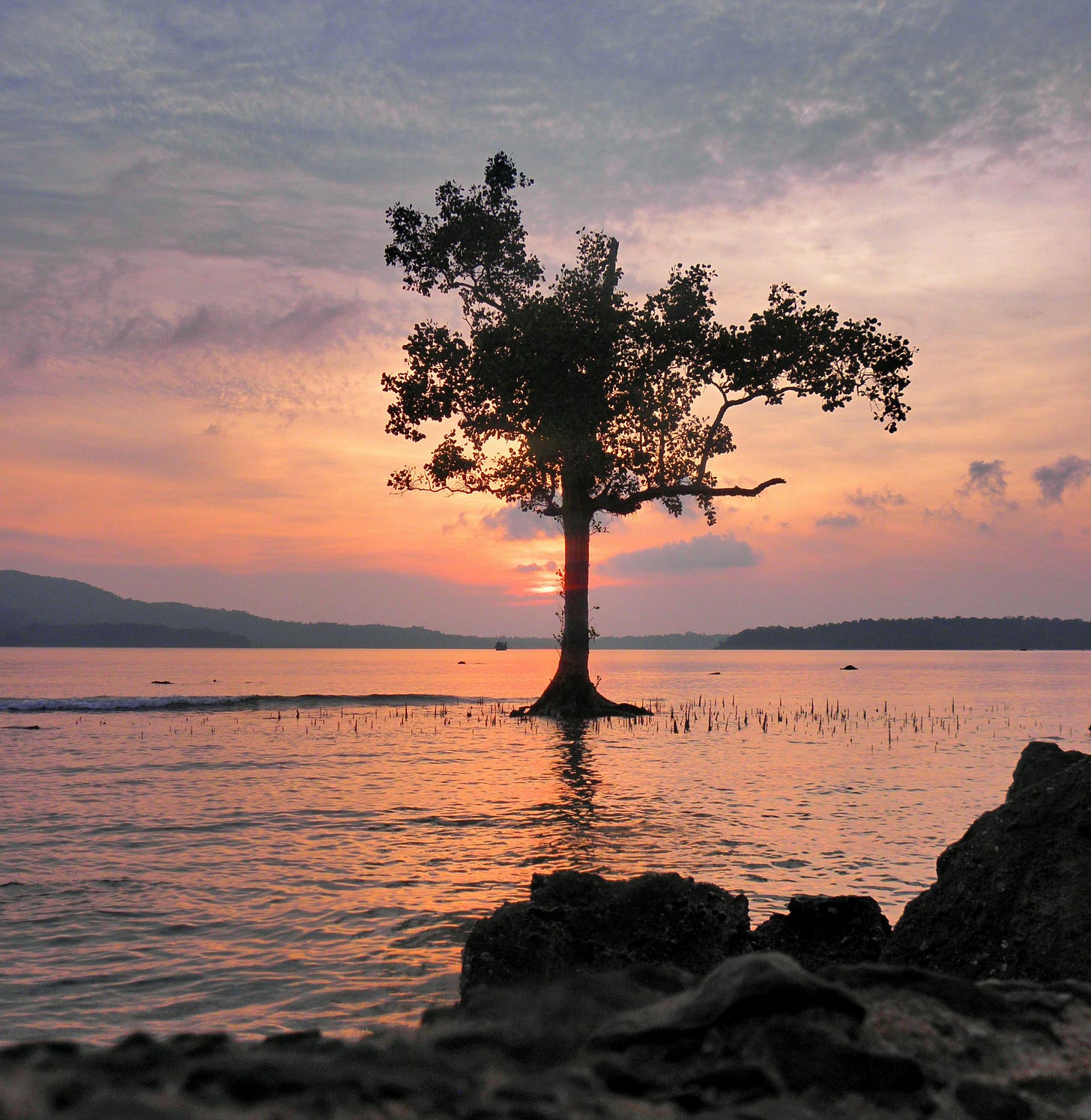 sunset showing islands in the distance and a tree in the water sunset showing islands in the distance and a tree in the water