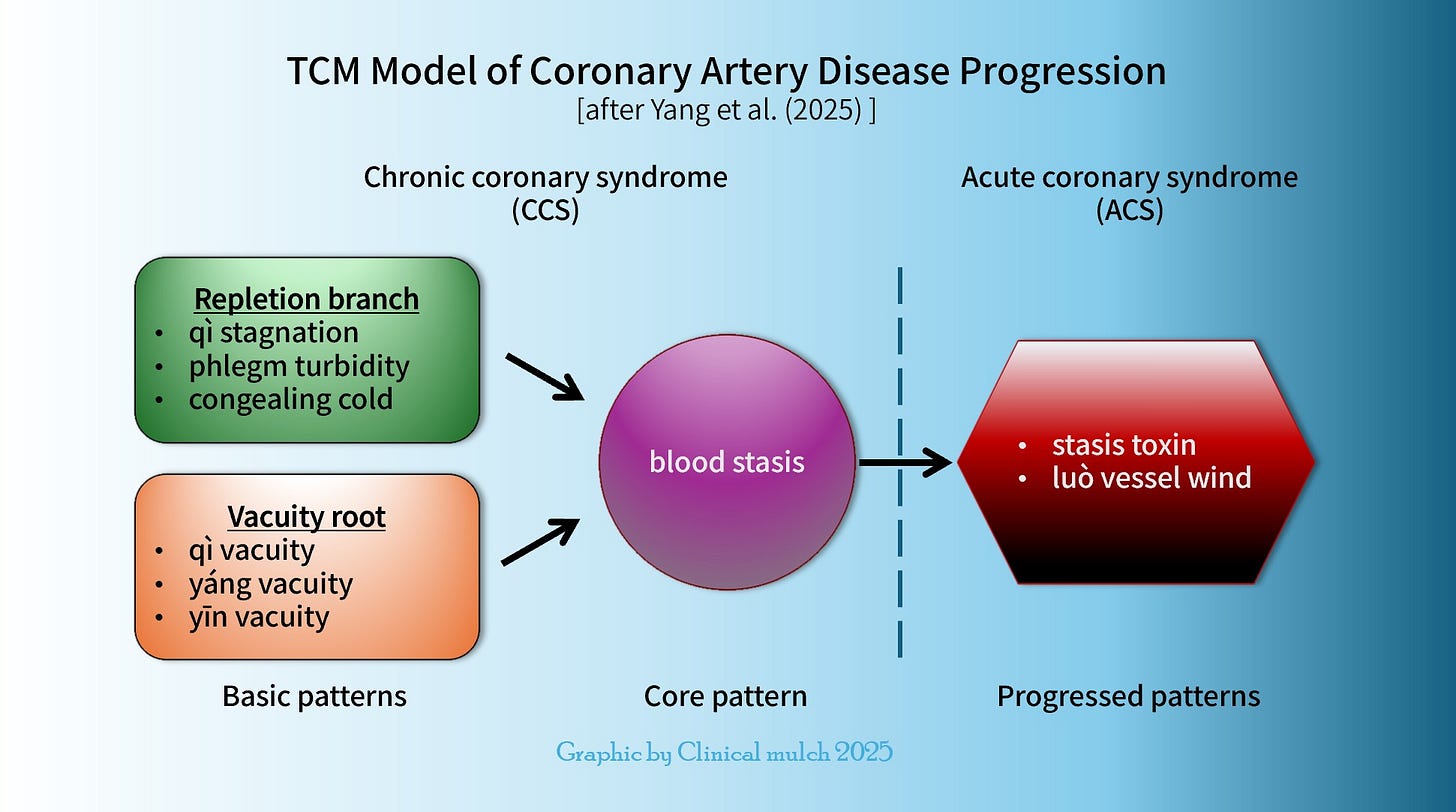 Infographic showing the progression of coronary artery disease according to Chinese medicine. Chronic coronary syndrome includes basic patterns of qi stagnation, phlegm turbidity, and congealing cold (repletion branch patterns); and qi vacuity, yang vacuity and yin vacuity (vacuity root patterns), as well as a core pattern of blood stasis. The progressed patterns which make up acute coronary syndrome include stasis toxin and network vessel wind.