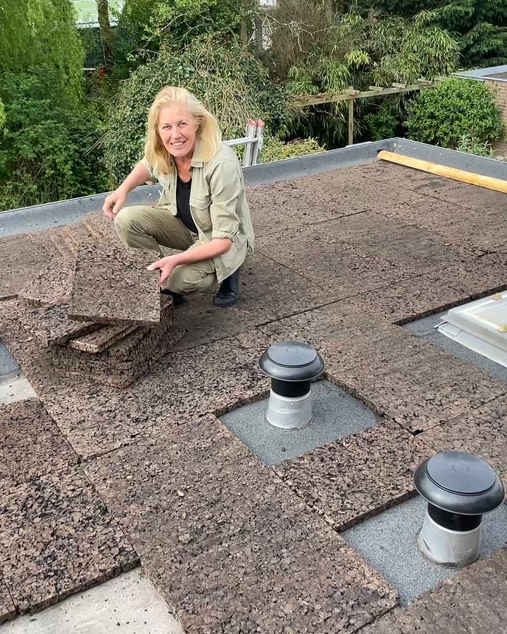 Sylvia creating a rooftop meadow and the rooftop meadow a few months later