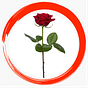 Mark.Kennard's avatar